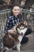 Подарочный сертификат “Фотосессия с сибирским Хаски” фотография